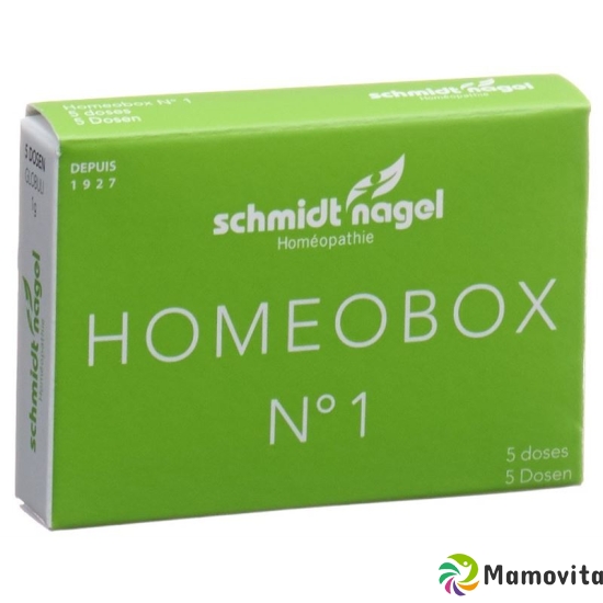 Sn Homeobox 1 Globuli Schachtel 5 Tube 1g buy online