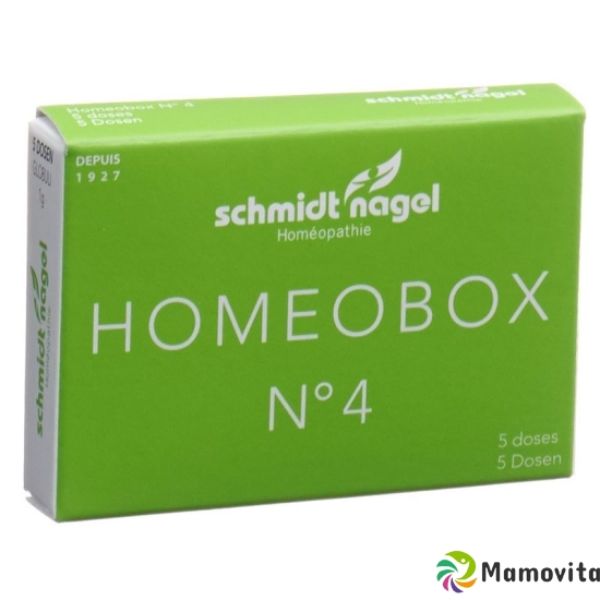 Sn Homeobox 4 Globuli Schachtel 5 Tube 1g buy online