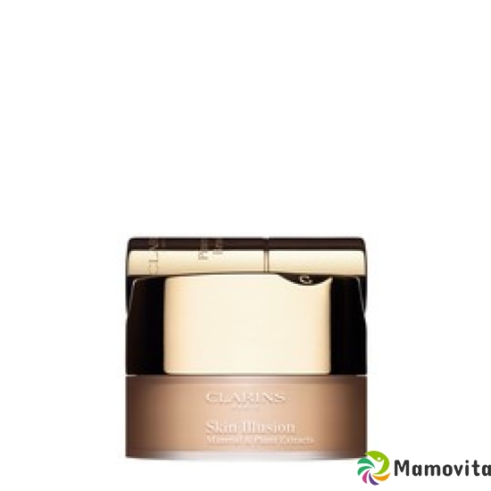 Clarins Skin Illusion Teint Poudre 110 Honey buy online