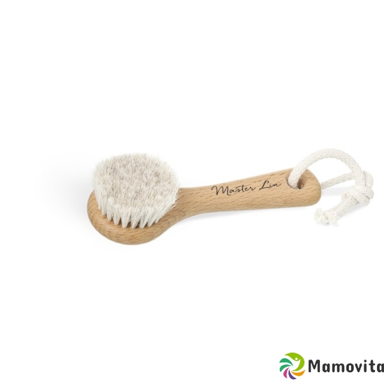 Master Lin facial massage brush buy online