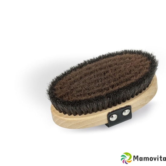 Master Lin body massage brush buy online