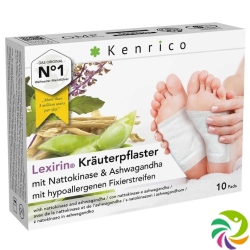 Kenrico Kräuterpflaster Nattokinase Ashwaga 10 Stück