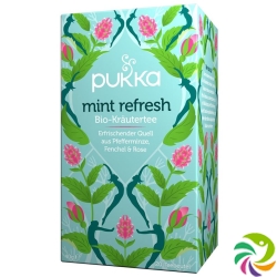 Pukka Mint Refresh Tee Bio Beutel 20 Stück