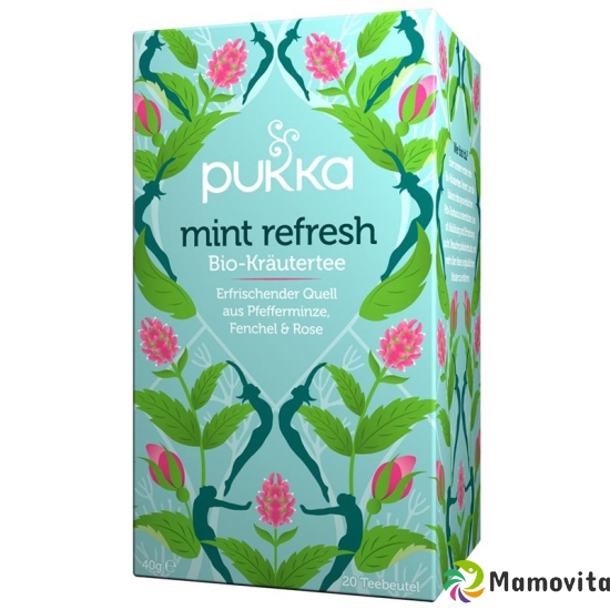 Pukka Mint Refresh Tee Bio Beutel 20 Stück buy online