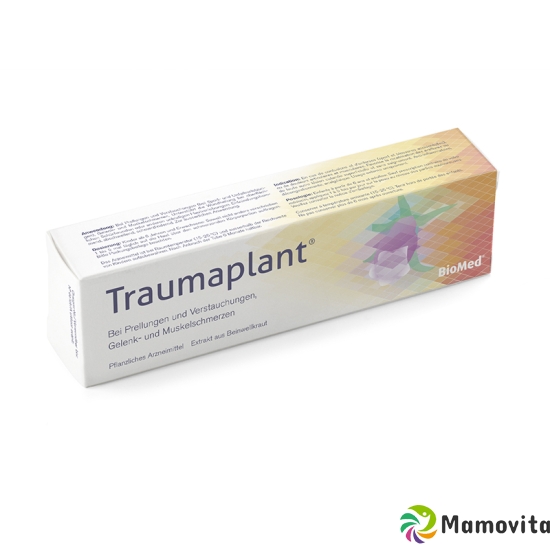 Traumaplant Salbe Tube 100g buy online