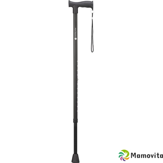 Vitility Walking Stick Black buy online