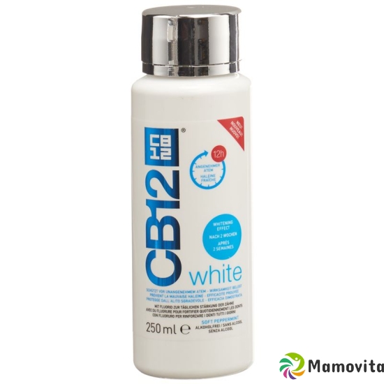 CB12 White Mouthwash Bottle 250ml buy online