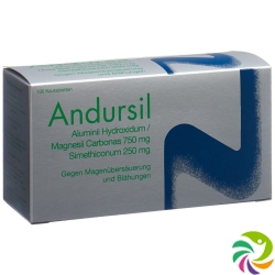 Andursil Kautabletten 100 Stück