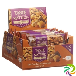 Taste Of Nature Riegel Protein Peanut 16x 40g