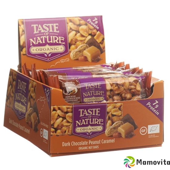 Taste Of Nature Riegel Protein Peanut 16x 40g buy online