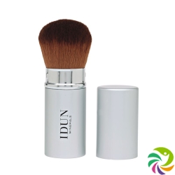 IDUN Kabuki Brush retractable