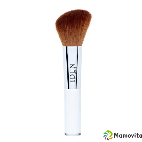 IDUN blush brush buy online