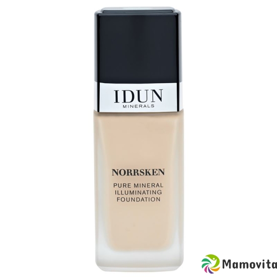 IDUN Foundation liquid Norrsken Disa 30ml buy online