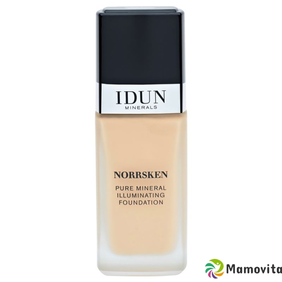 IDUN Foundation liquid Norrsken Svea 30ml buy online