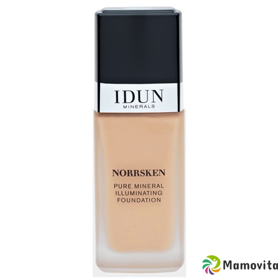 IDUN Foundation liquid Norrsken Ylva 30ml buy online