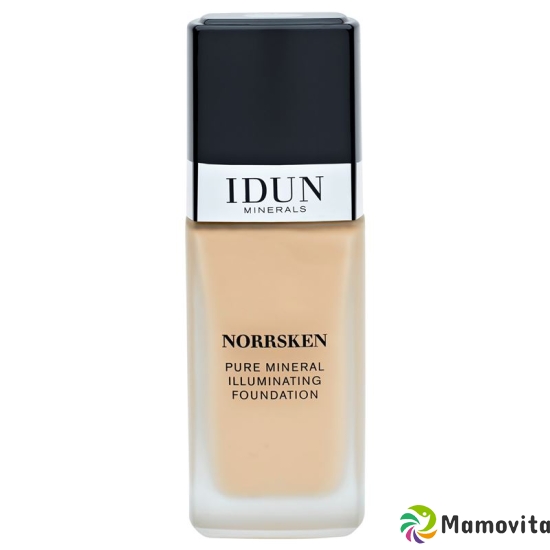 IDUN Foundation liquid Norrsken Embla 30ml buy online