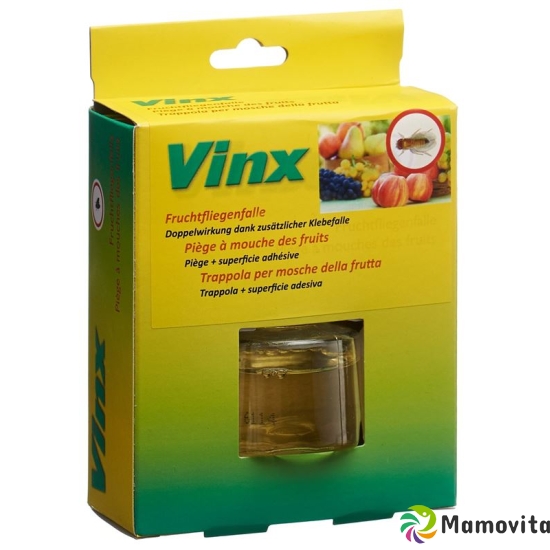 Vinx fruit fly trap with adhesive strips buy online