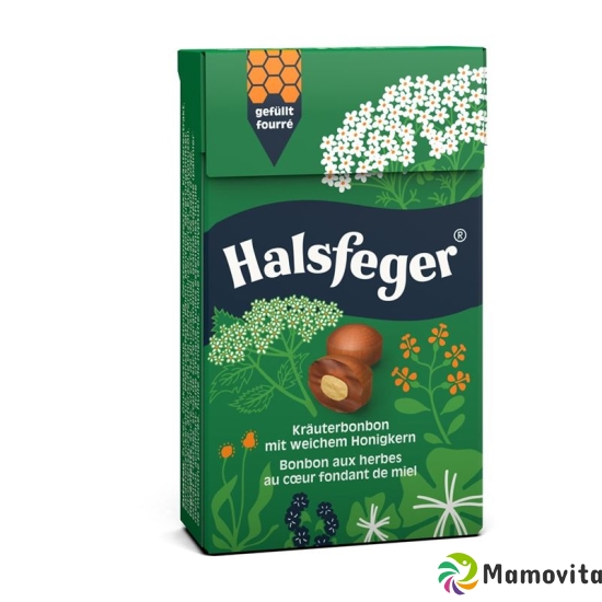 Halsfeger Kräuterbonbon Etui 40g buy online