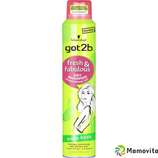 Got2b Fresh&fabulous Dry Shampoo Regular 200ml buy online