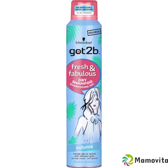 Got2b Fresh&fabulous Dry Shampoo Volume 200ml buy online