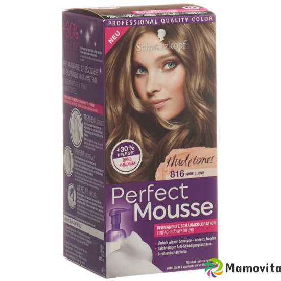 Perfect Mousse 816 Nude Blonde buy online