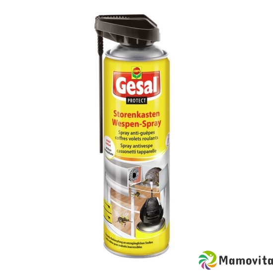 Gesal Protect Storenkasten Wespen-Spray 500ml buy online