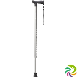 Vitility walking stick anthracite