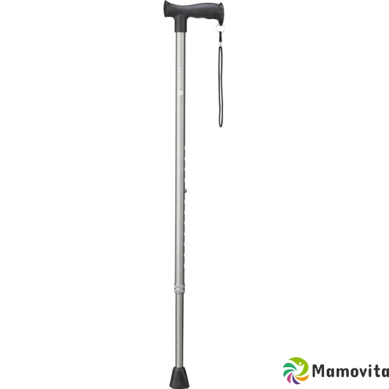 Vitility walking stick anthracite buy online