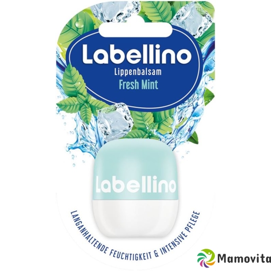 Labello Labellino Fresh Mint 7g buy online