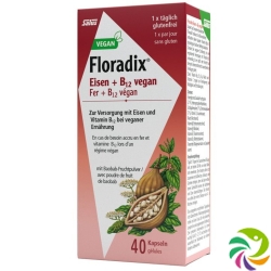 Floradix Iron + B12 Capsules Vegan 40 pieces