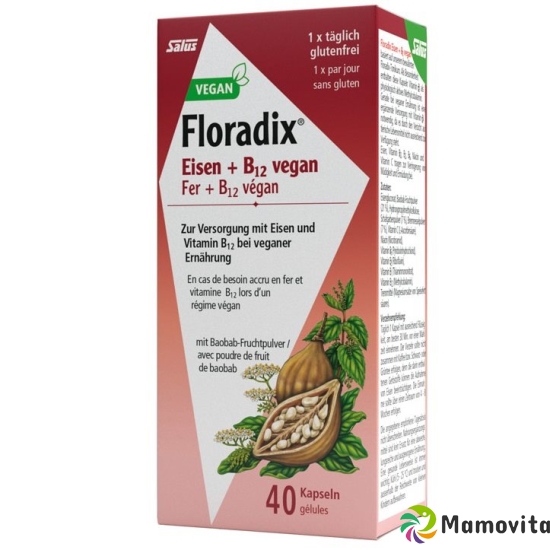 Floradix Iron + B12 Capsules Vegan 40 pieces buy online