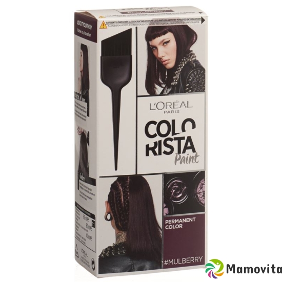 Colorista Hairpaint 14 Mulbery 100ml buy online