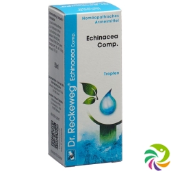 Reckeweg R193 Echinacea Comp. Tropfen Flasche 50ml