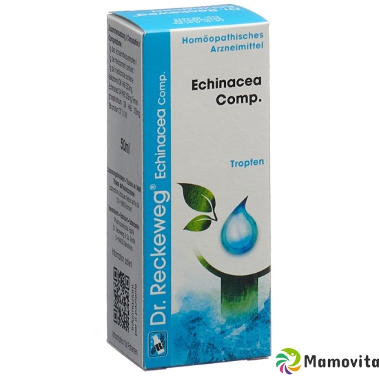 Reckeweg R193 Echinacea Comp. Tropfen Flasche 50ml buy online