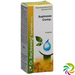 Reckeweg R78 Euphrasia Comp. Tropfen Flasche 50ml