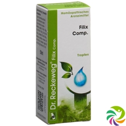 Reckeweg R56 Filix Comp. Tropfen Flasche 50ml