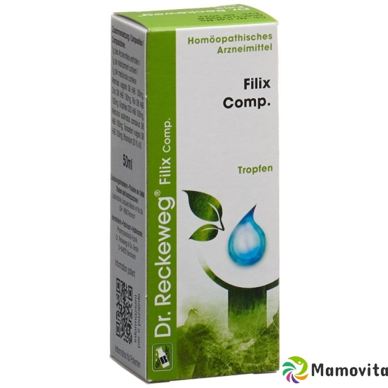 Reckeweg R56 Filix Comp. Tropfen Flasche 50ml buy online