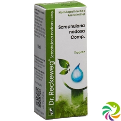 Reckeweg R17 Scrophularia Nod Comp. Tropfen 50ml