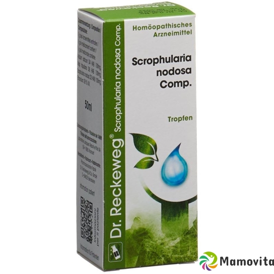 Reckeweg R17 Scrophularia Nod Comp. Tropfen 50ml buy online