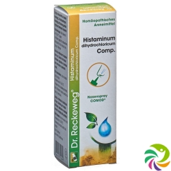 Reckeweg R97 Histaminum Dihy Comp Nasenspray 15ml