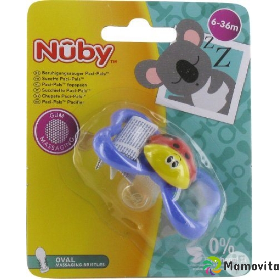 Nuby Nuggi Paci-Pals Oval Silikon Noppen 6-36 buy online