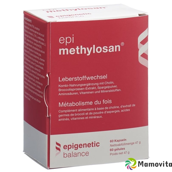 Methylosan Kapseln 60 Stück buy online