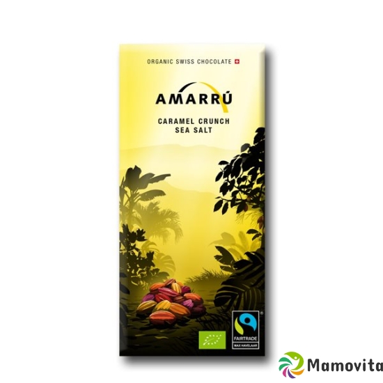 Pronatec Amarru Caramel Crunch Seasalt Bio 100g buy online