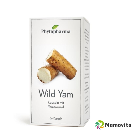 Phytopharma Wild Yam Kapseln 400mg 80 Stück buy online