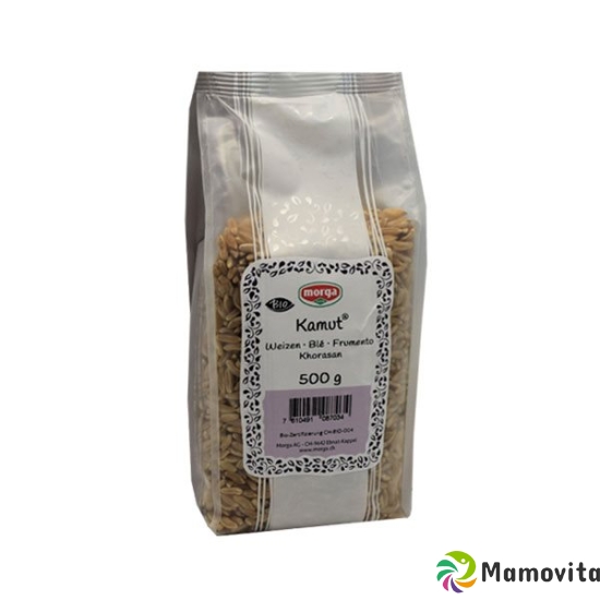 Holle Kamut Bio Beutel 500g buy online