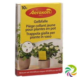 Aeroxon Gelbfalle für Topfpflanzen 10 Stück