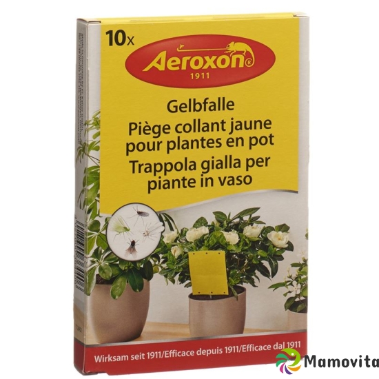 Aeroxon Gelbfalle für Topfpflanzen 10 Stück buy online