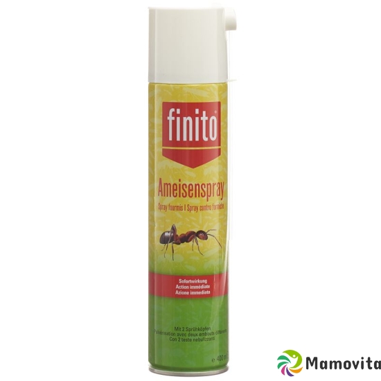 Finito Ameisenspray (neu) 400ml buy online