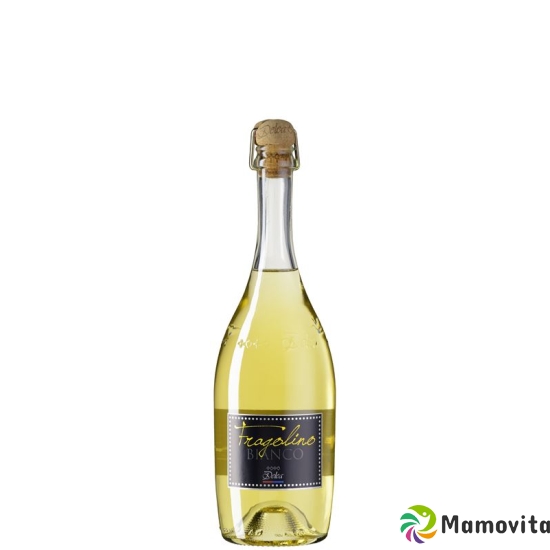 Fragolino Vino Bianco Dolce Frizzante 6x 75cl buy online