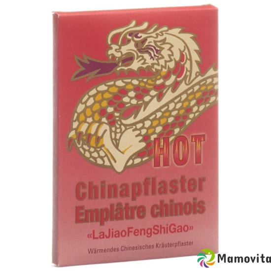 Chinapflaster Hot La Jiao Feng Shi Gao 2 Beutel 2 Stück buy online